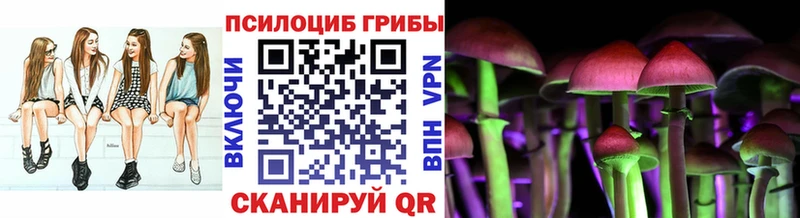 Псилоцибиновые грибы мухоморы  Купить закладки  Кировск 